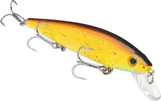 KVD Jerkbait 300